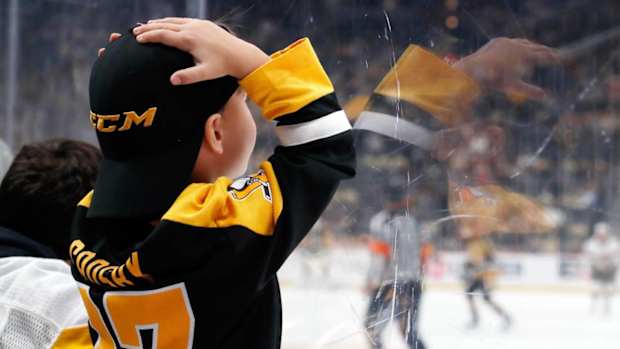 Pittsburgh Penguins fan